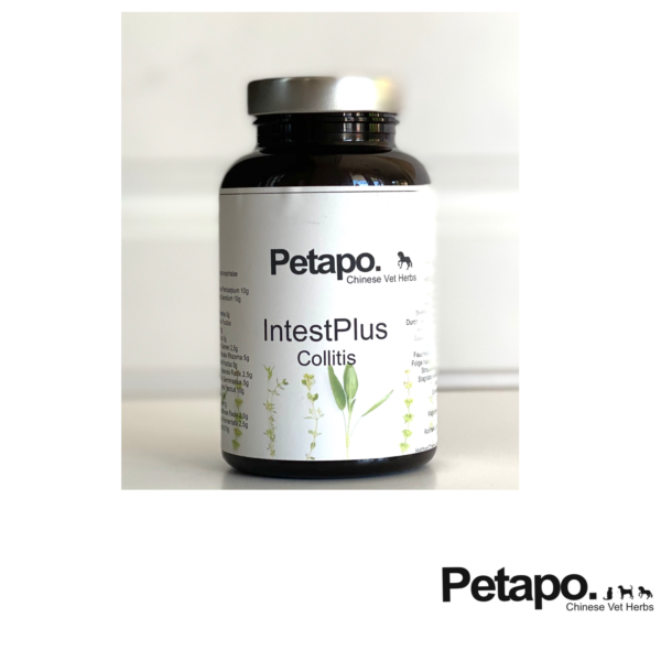 Petapo IntestPlus Pferd